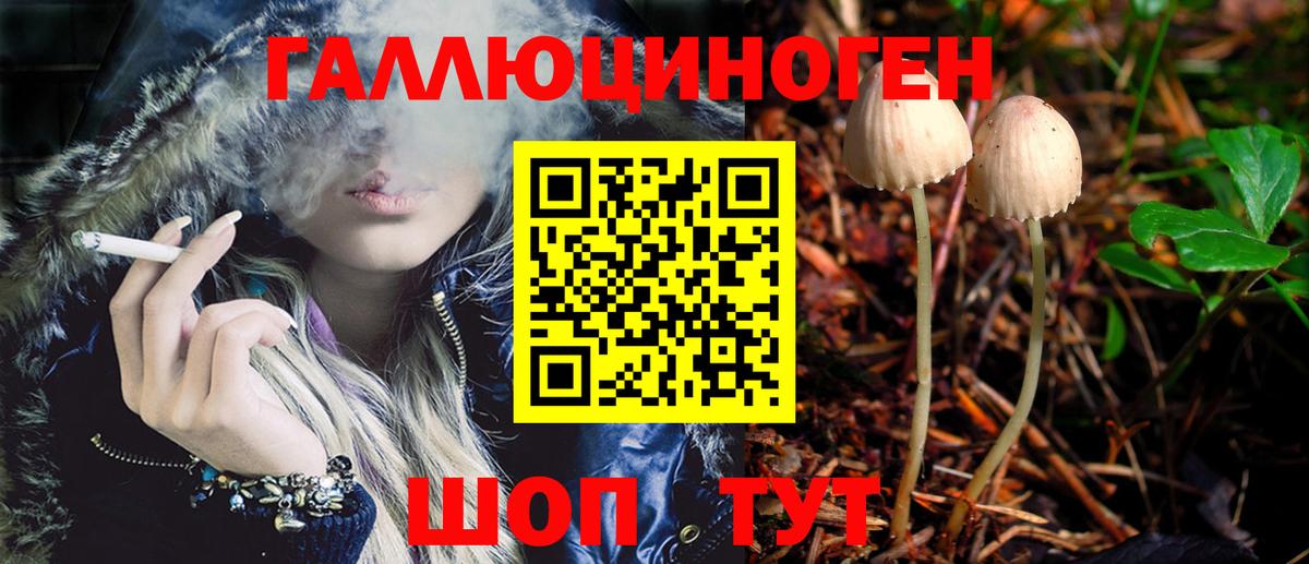 Саяногорск  Псилоцибиновые грибы MAGIC MUSHROOMS  Вход с VPN 